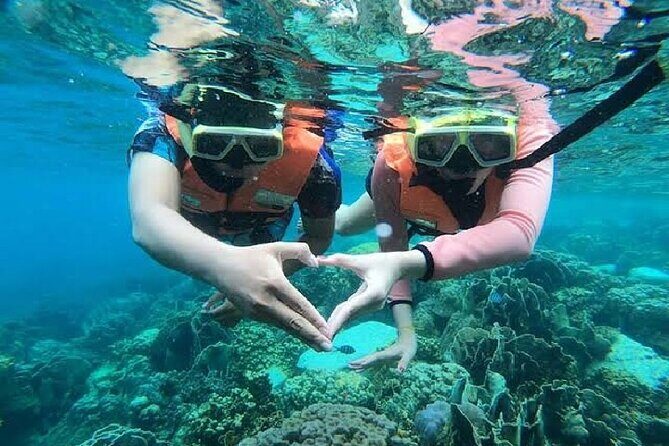 Pattaya Tour Sanctuary of Truth Buddha Hill & Snorkeling Koh Larn - Why This Tour is a Great Choice