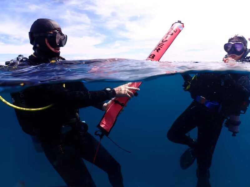 Pattaya: Try Dive with 2 Ocean Dives (For First Timer) - Final Thoughts