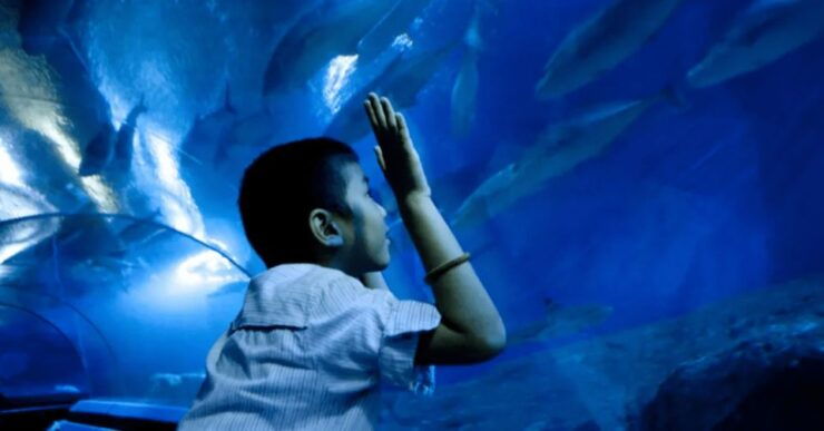 Pattaya: Under Water World - Ticket Information