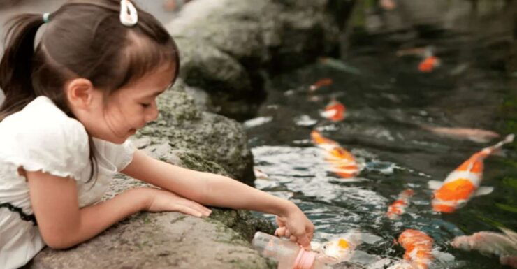 Pattaya: Under Water World - Experience Highlights