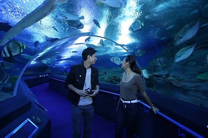 Pattaya Underwater World Admission Ticket - Practical Tips for Visiting