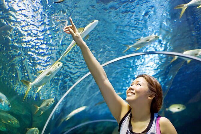 Pattaya Underwater World Admission Ticket - Who Should Visit?