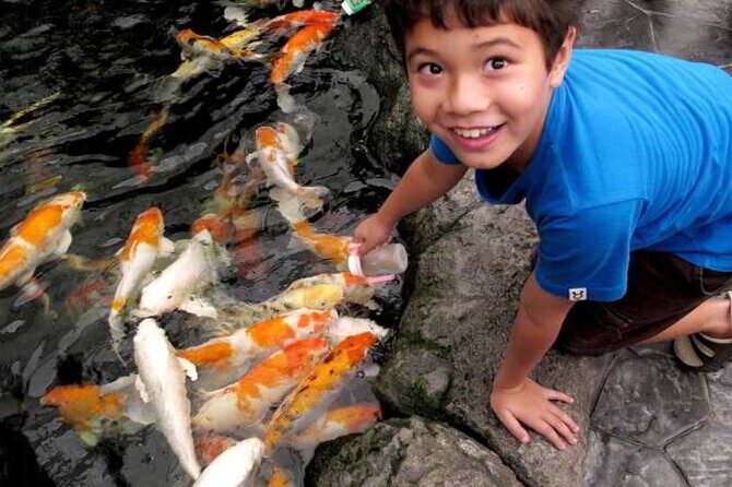 Pattaya Underwater World Admission Ticket - Who Will Love Pattaya Underwater World?