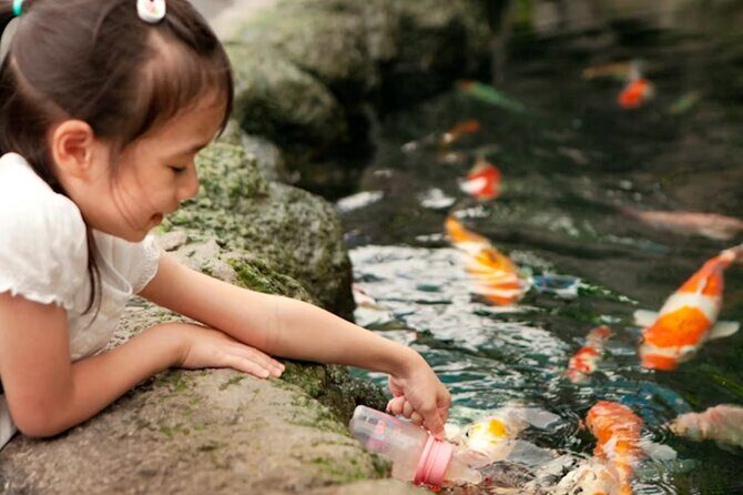 Pattaya Underwater World Admission Ticket - FAQs About Pattaya Underwater World