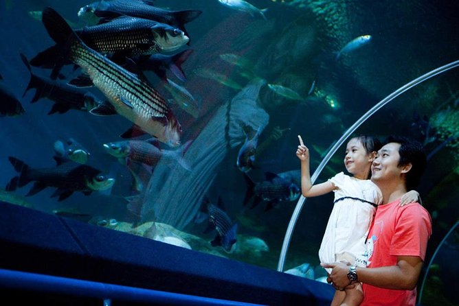 Pattaya Underwater World Admission Ticket With Return Transfer - Meeting and Pickup