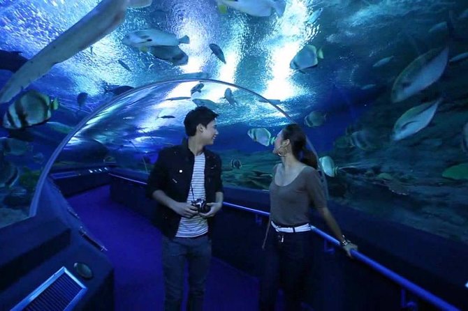 Pattaya Underwater World Admission Ticket With Return Transfer - Pickup Points