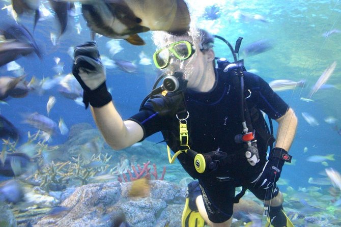 Pattaya Underwater World Admission Ticket With Return Transfer - Experience at Underwater World Pattaya