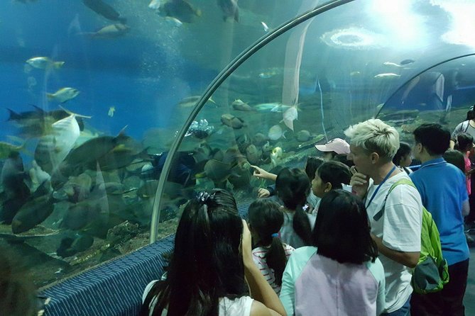 Pattaya Underwater World - Discover Ocean Treasures - Traveler Photos of the Aquarium
