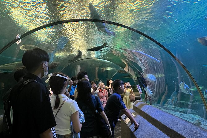 Pattaya Underwater World Entrance Ticket - Booking Information: Select Date and Travelers