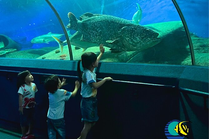Pattaya Underwater World Entrance Ticket - Additional Information: Contact Customer Support