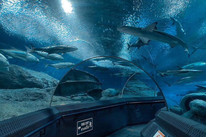 Pattaya Underwater World Entrance Ticket - Common Questions