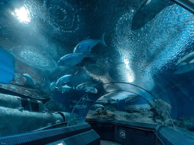 Pattaya: Underwater World Pattaya Aquarium Admission Ticket - Ticket Details