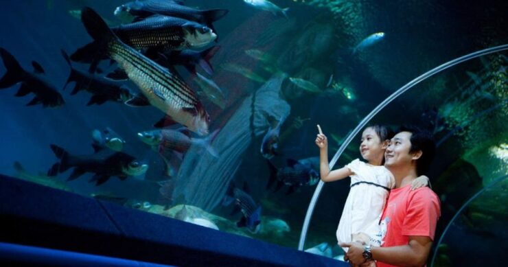 Pattaya: Underwater World Pattaya Aquarium Admission Ticket - Experience at the Aquarium