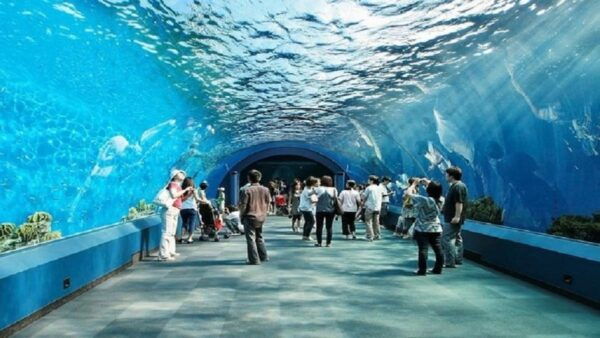 Pattaya: Underwater World Pattaya Aquarium Admission Ticket - Directions