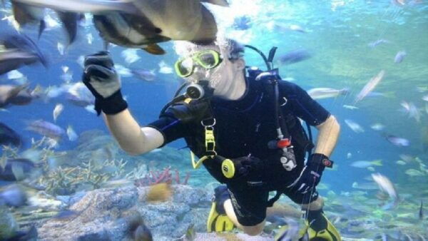 Pattaya: Underwater World Pattaya Aquarium Admission Ticket - The Sum Up