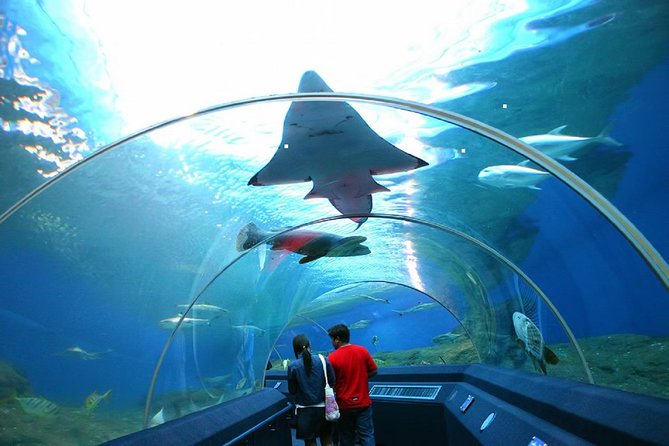Pattaya Underwater World Tickets - Cancellation Policy