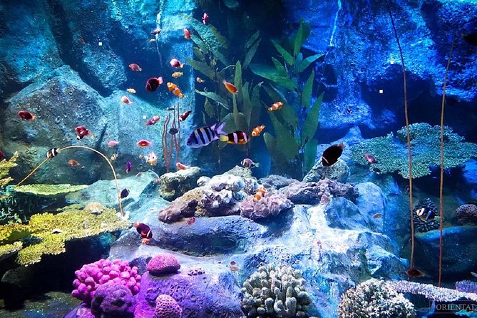 Pattaya Underwater World Tickets - Reviews