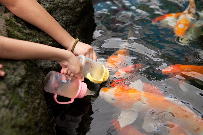 Pattaya Underwater World Tickets - Questions and Support