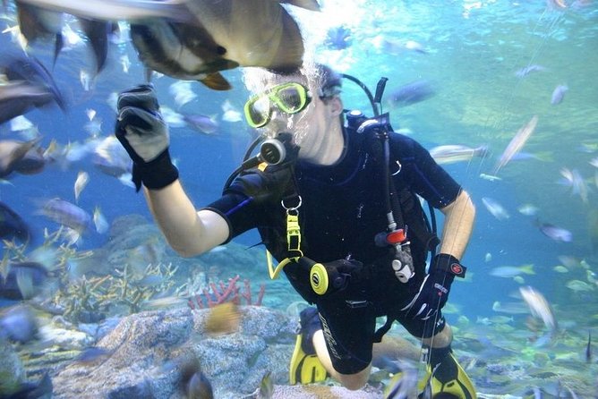 Pattaya Underwater World Tickets - Common Questions