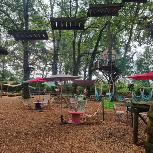 Pau - Tree Climbing - Lacq Adventure - The Sum Up