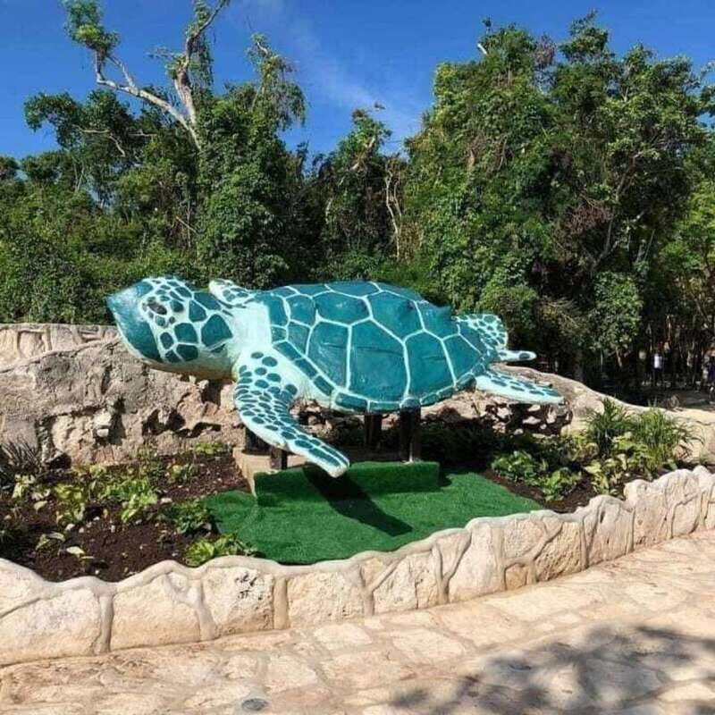 PDC: Eco Adventure at Cenotes Casa Tortuga & Tulum Ruins - In The Sum Up