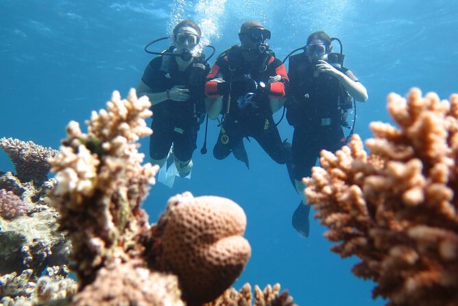 PDI Advanced Open Water Course - Course Details