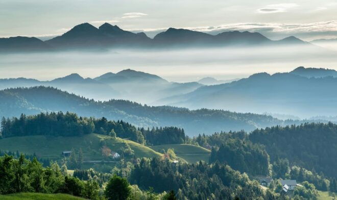 PEACEFUL HOLIDAY IN THE VALEA VÂLSANULUI-BRĂDET - Scenic Features