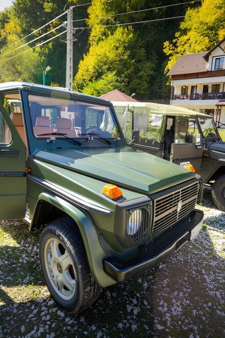 PEACEFUL HOLIDAY IN THE VALEA VÂLSANULUI-BRĂDET - Nearby Attractions and Activities