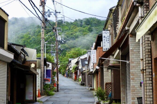 Peaceful Kyoto Walking Tour - Who Should Book This Tour?
