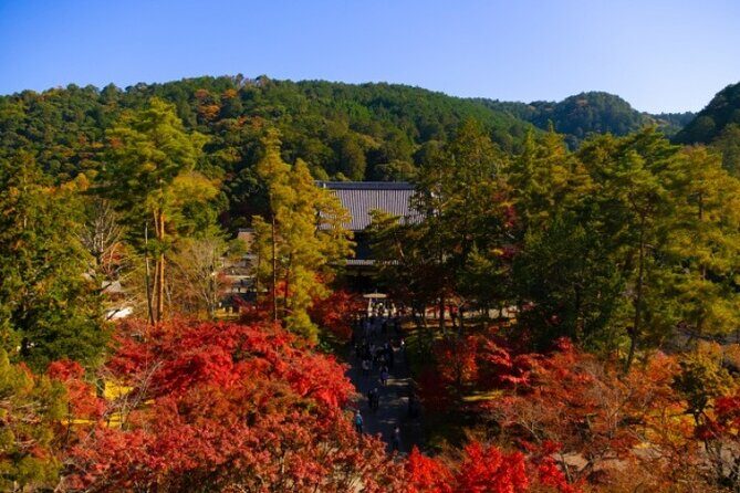 Peaceful Kyoto Walking Tour - Exploring Kyoto’s Most Serene Pathways