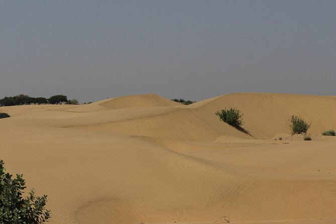 Peaceful Non -Touristic Sunset Camel Safari With Dinner - Authentic Desert Experience