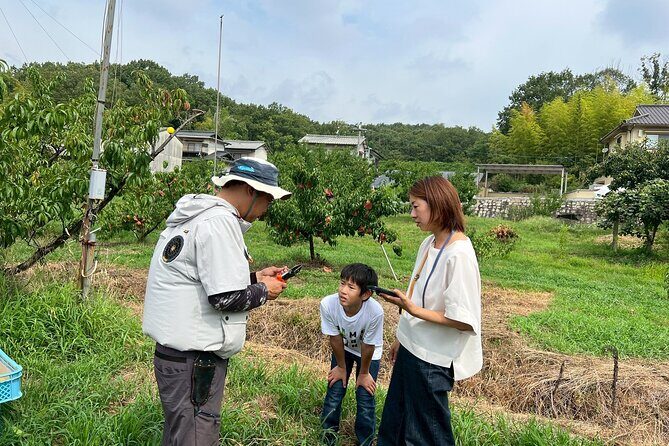 Peach Farm Walk & Farming Experience with a Peach Drink - Good To Know