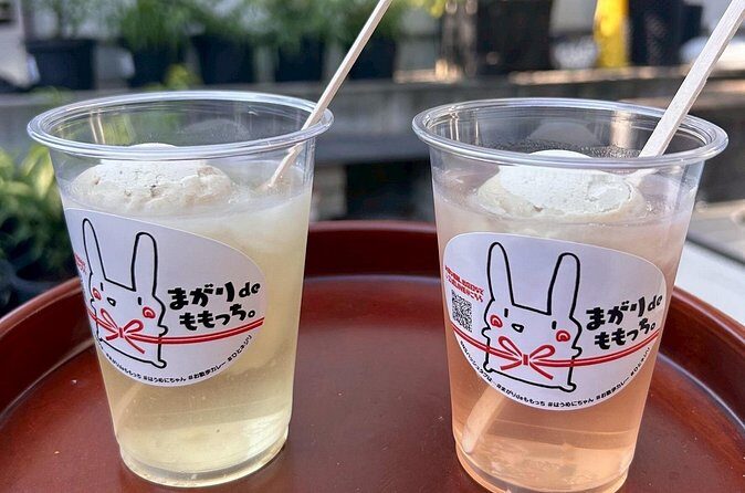 Peach Farm Walk & Farming Experience with a Peach Drink - Final Thoughts