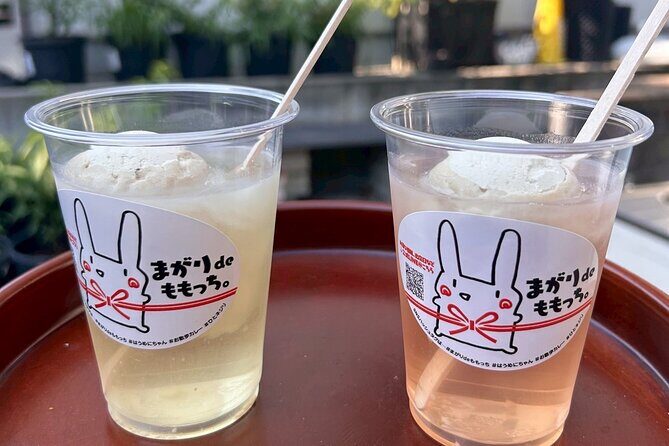 Peach Farm Walk & Farming Experience with a Peach Drink - Who Would Enjoy This Tour?