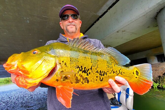 Peacock Bass Fishing Trip Near Biscayne Bay - Copyright Notice and Terms & Conditions