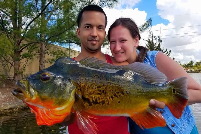 Peacock Bass Fishing Trips Near Miami Florida - Pricing and Booking