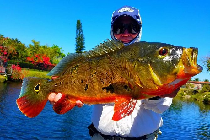 Peacock Bass Fishing Trips Near Miami Florida - Tour Details