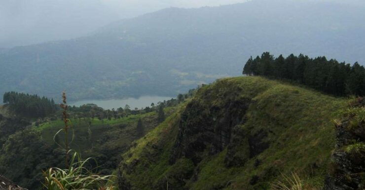 Peacock Hill Trek - Trek Highlights