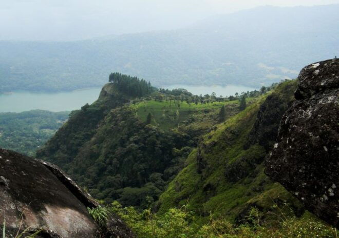 Peacock Hill Trek - Activity Provider Information