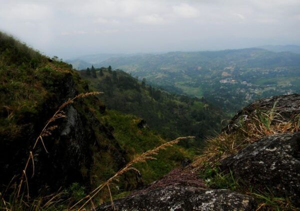 Peacock Hill Trek - The Sum Up