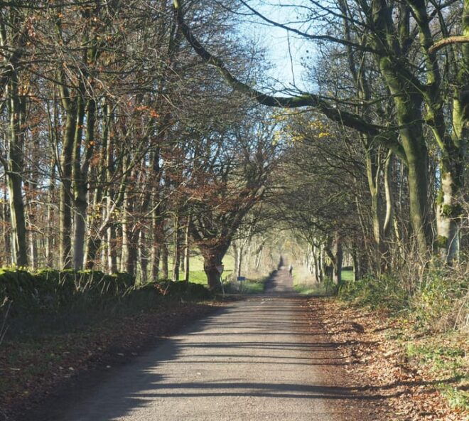 Peak District Highlights Ebike Tour - Immersive Scenery and Landmarks