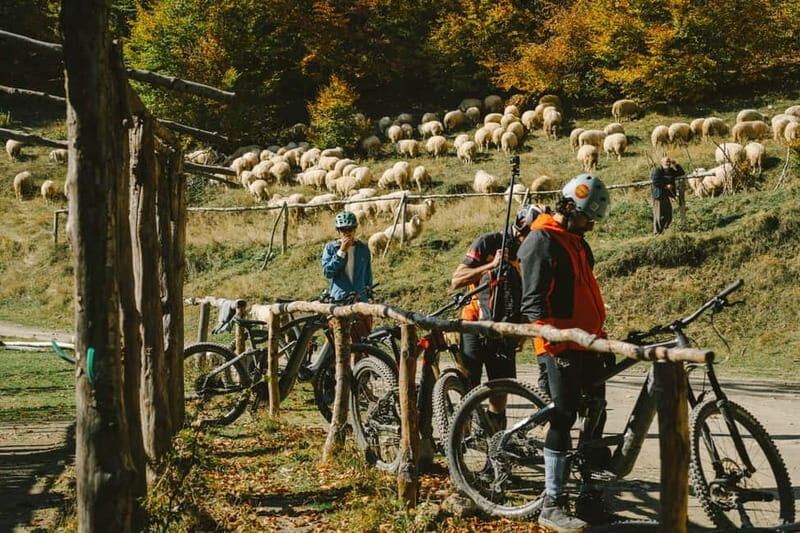 Peak of the Balkans e-Biking Tour - What to Expect from the Experience