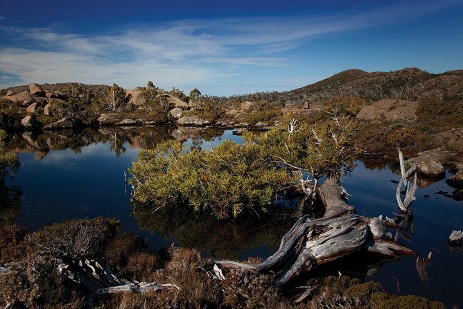 Peaks, Falls & Furry Locals: Mt. Field & the Derwent - Exploring Mount Field National Park