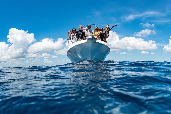 Peanut Island Boat & Snorkel Tour - Pricing Details