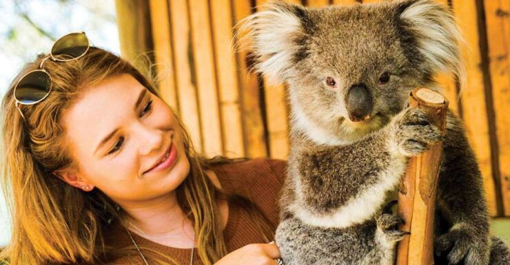 Pearcedale: Moonlit Sanctuary Conservation Park Entry Ticket - Wildlife Experience