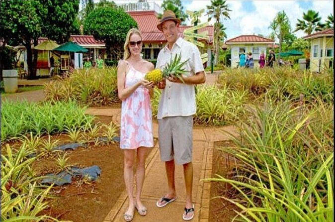 Pearl Harbor and Mini Circle Island from Kauai - Final Thoughts