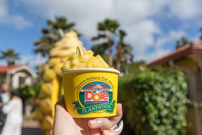 Pearl Harbor Dole Plantation Polynesian Cultural Center From Kauai - Inclusions and Experiences