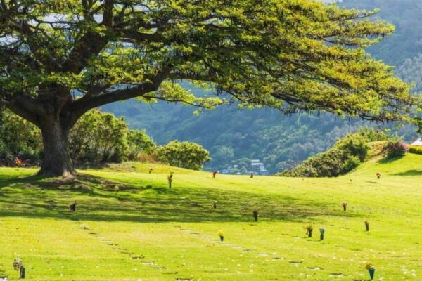 Pearl Harbor Oahu Circle Island Tour - The Sum Up