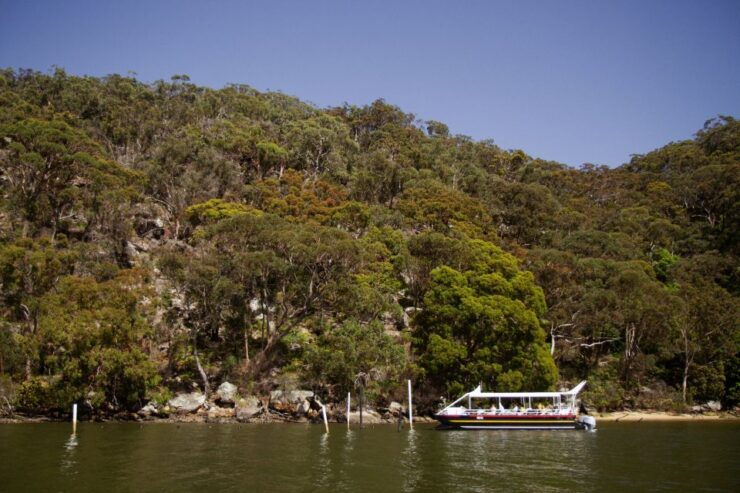 Pearl & Oyster Farm Cruise on Hawkesbury River - Tour Highlights