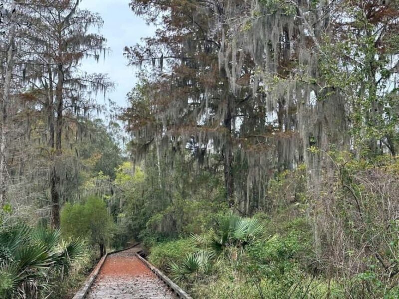 Pearlington: Devil's Swamp Eco Walking Tour - The Sum Up